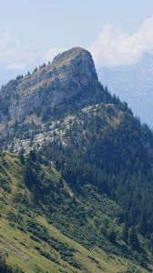 Preview wallpaper mountain, trees, slope, nature