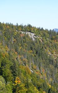 Preview wallpaper mountain, trees, slope, nature, landscape, view