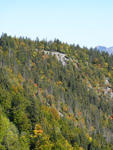 Preview wallpaper mountain, trees, slope, nature, landscape, view