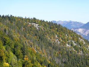 Preview wallpaper mountain, trees, slope, nature, landscape, view