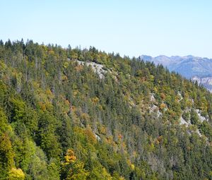 Preview wallpaper mountain, trees, slope, nature, landscape, view