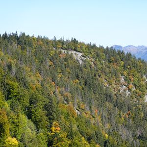 Preview wallpaper mountain, trees, slope, nature, landscape, view