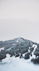 Preview wallpaper mountain, trees, snow, hill, fog