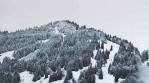 Preview wallpaper mountain, trees, snow, hill, fog