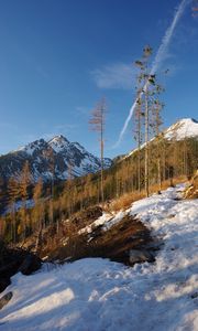 Preview wallpaper mountain, trees, snow, winter, nature