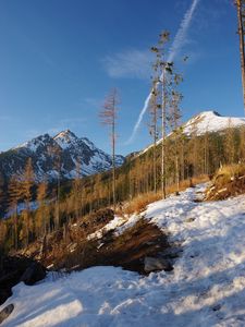 Preview wallpaper mountain, trees, snow, winter, nature