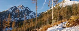 Preview wallpaper mountain, trees, snow, winter, nature