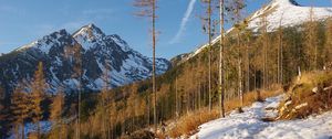 Preview wallpaper mountain, trees, snow, winter, nature