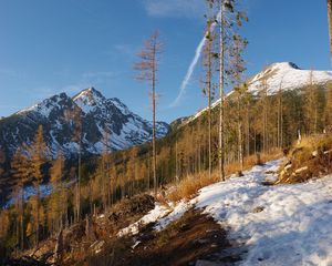 Preview wallpaper mountain, trees, snow, winter, nature