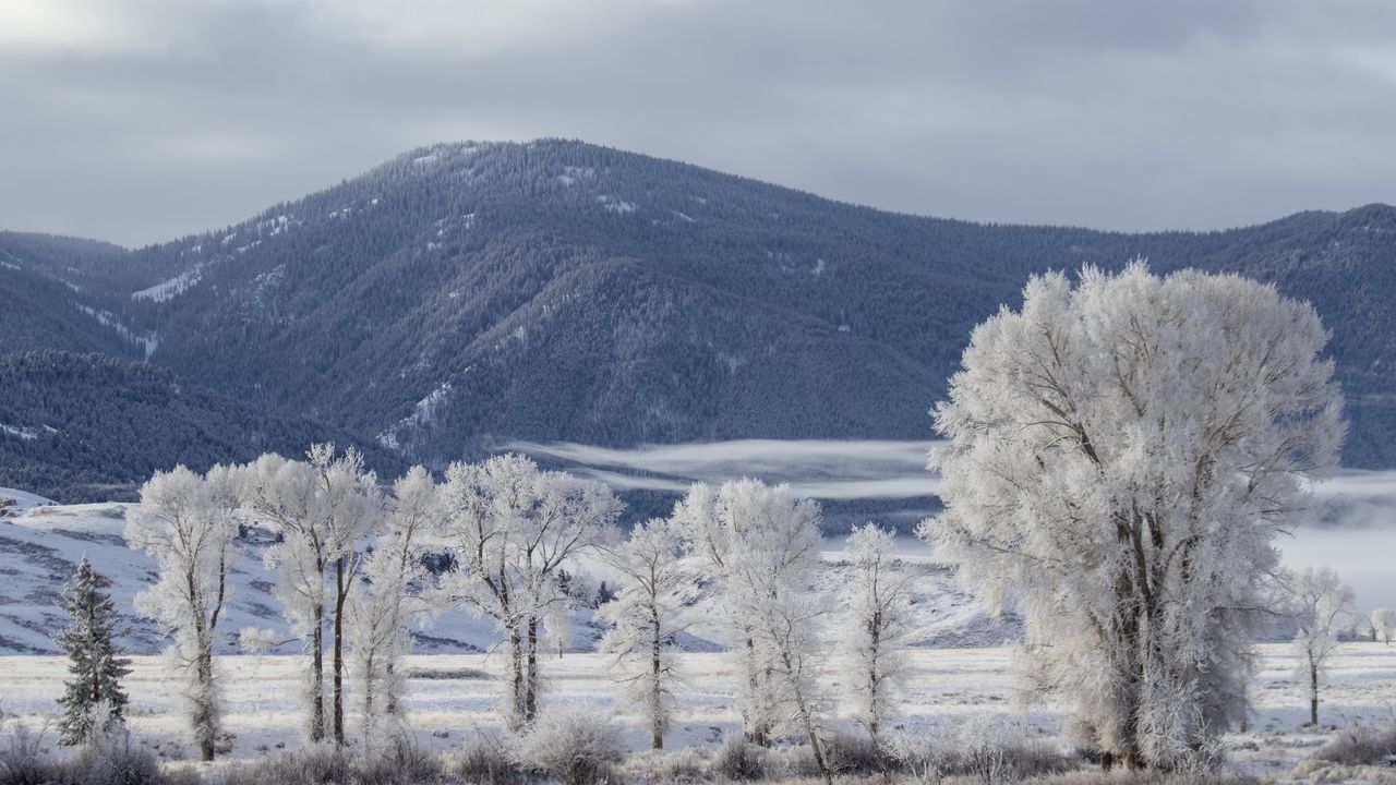 Wallpaper mountain, trees, snow, winter, landscape, nature