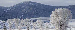 Preview wallpaper mountain, trees, snow, winter, landscape, nature