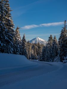 Preview wallpaper mountain, trees, snow, winter, road, nature