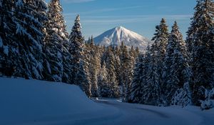 Preview wallpaper mountain, trees, snow, winter, road, nature