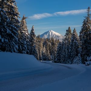 Preview wallpaper mountain, trees, snow, winter, road, nature