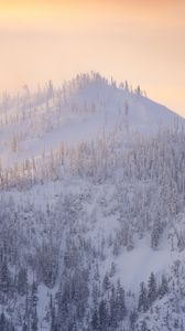 Preview wallpaper mountain, trees, snow, winter