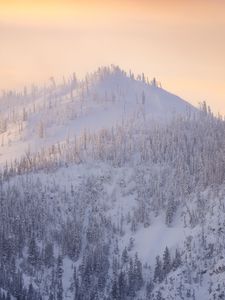 Preview wallpaper mountain, trees, snow, winter