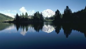 Preview wallpaper mountain, trees, top, snow, fur-trees, reflection, shade, river