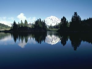 Preview wallpaper mountain, trees, top, snow, fur-trees, reflection, shade, river