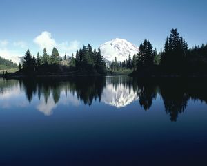 Preview wallpaper mountain, trees, top, snow, fur-trees, reflection, shade, river