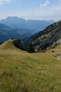 Preview wallpaper mountain, valley, slope, grass, greens, landscape