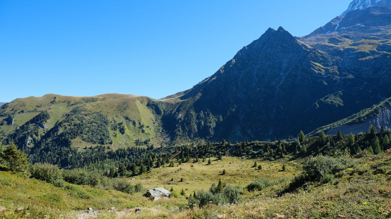 Wallpaper mountain, valley, trees, bushes, landscape