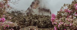 Preview wallpaper mountain, water, fog, clouds, park, flowers, branches, pedra azul, brasil