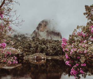 Preview wallpaper mountain, water, fog, clouds, park, flowers, branches, pedra azul, brasil