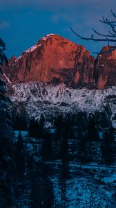 Preview wallpaper mountain, winter, branches, snow, twilight