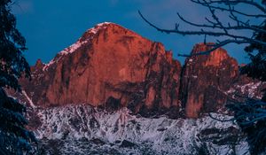 Preview wallpaper mountain, winter, branches, snow, twilight