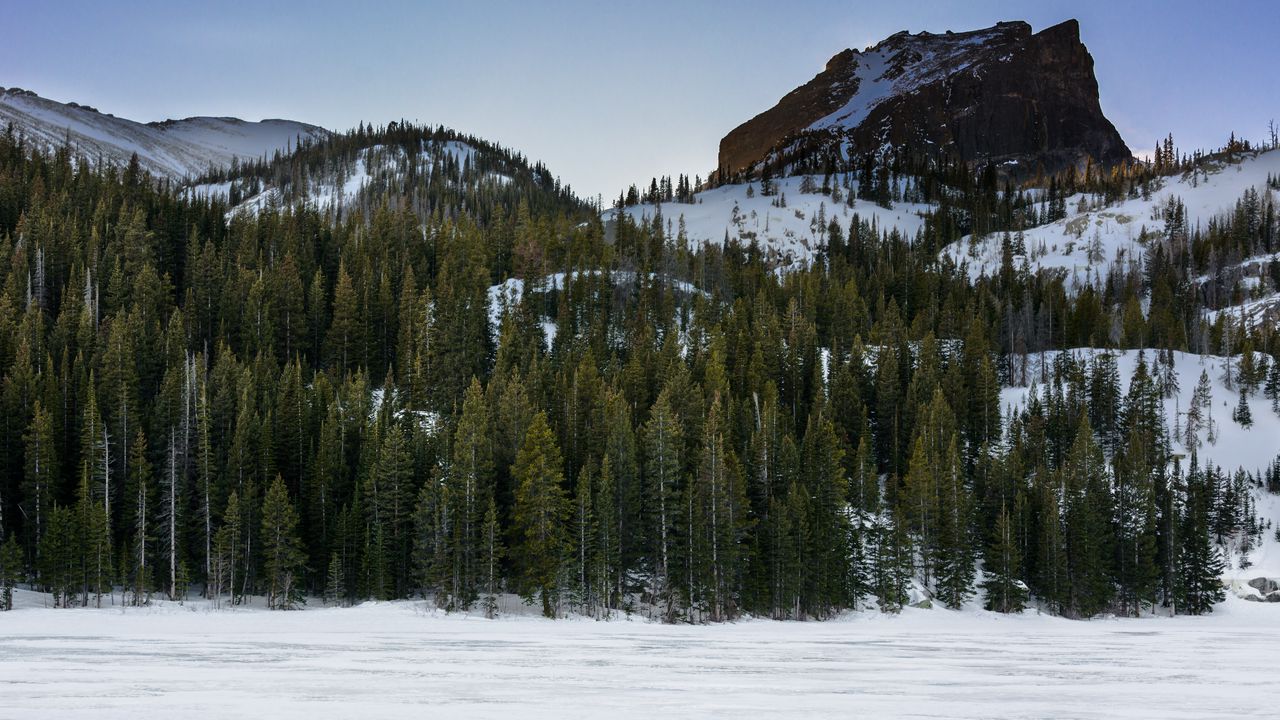 Wallpaper mountain, winter, snow, trees, landscape, nature