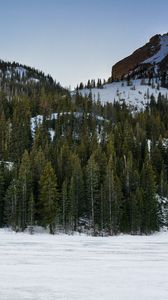 Preview wallpaper mountain, winter, snow, trees, landscape, nature