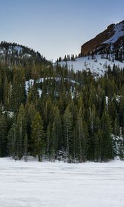 Preview wallpaper mountain, winter, snow, trees, landscape, nature