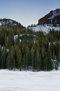 Preview wallpaper mountain, winter, snow, trees, landscape, nature