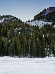 Preview wallpaper mountain, winter, snow, trees, landscape, nature