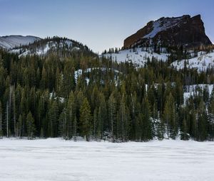 Preview wallpaper mountain, winter, snow, trees, landscape, nature