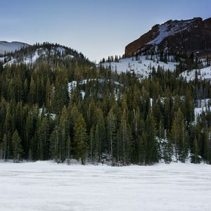 Preview wallpaper mountain, winter, snow, trees, landscape, nature