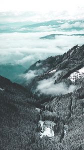 Preview wallpaper mountains, aerial view, fog, trees, snow