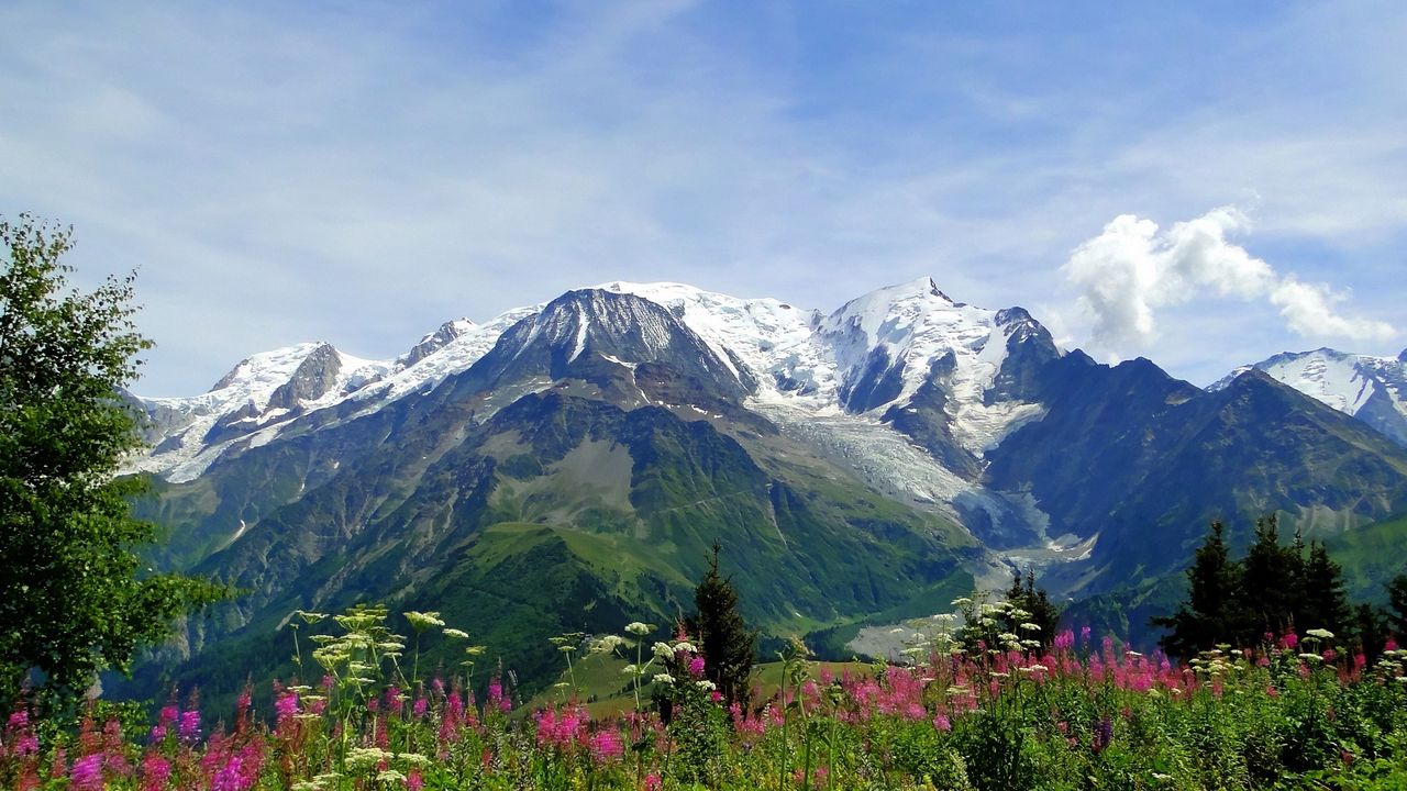 Wallpaper mountains, alps, flowers, tops, freshness, summer