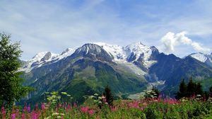 Preview wallpaper mountains, alps, flowers, tops, freshness, summer