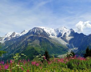 Preview wallpaper mountains, alps, flowers, tops, freshness, summer