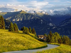 Preview wallpaper mountains, alps, meadow, road, forest, trees, nature