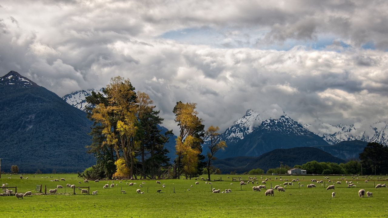 Wallpaper mountains, alps, sheep, pasture, bottom, valley, clouds, sky