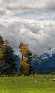 Preview wallpaper mountains, alps, sheep, pasture, bottom, valley, clouds, sky