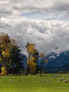 Preview wallpaper mountains, alps, sheep, pasture, bottom, valley, clouds, sky