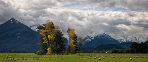 Preview wallpaper mountains, alps, sheep, pasture, bottom, valley, clouds, sky