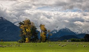 Preview wallpaper mountains, alps, sheep, pasture, bottom, valley, clouds, sky