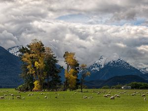 Preview wallpaper mountains, alps, sheep, pasture, bottom, valley, clouds, sky