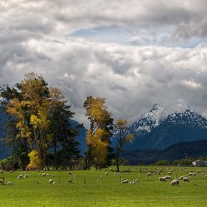 Preview wallpaper mountains, alps, sheep, pasture, bottom, valley, clouds, sky