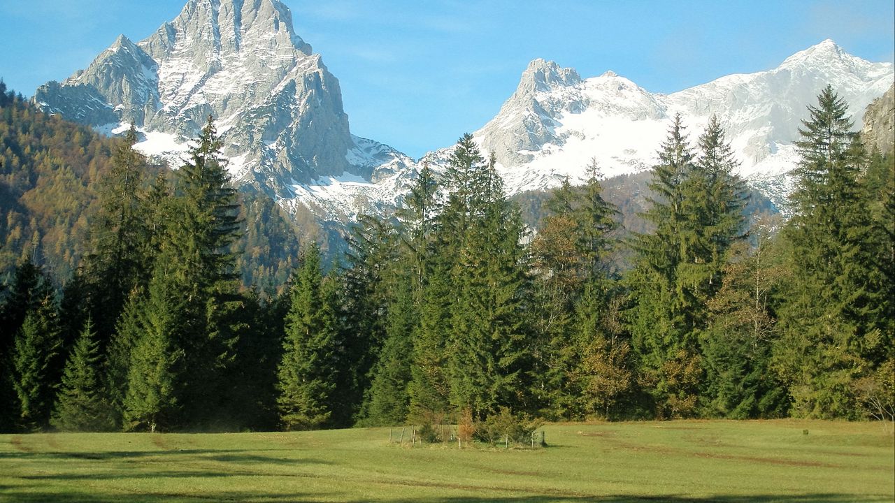 Wallpaper mountains, alps, trees, grass