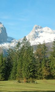 Preview wallpaper mountains, alps, trees, grass